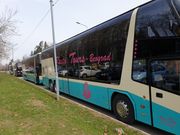 Rasto Tours Beograd slike sa putovanja